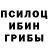 Псилоцибиновые грибы GOLDEN TEACHER KotMooson