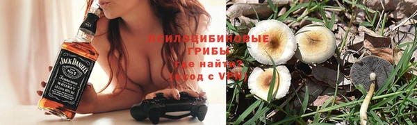 герыч Арсеньев