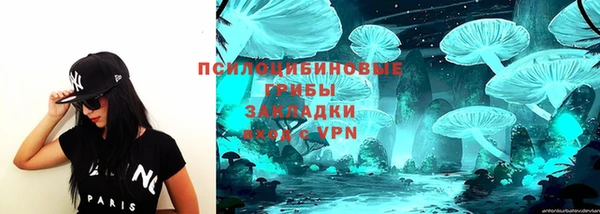 герыч Арсеньев
