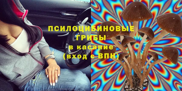 герыч Арсеньев
