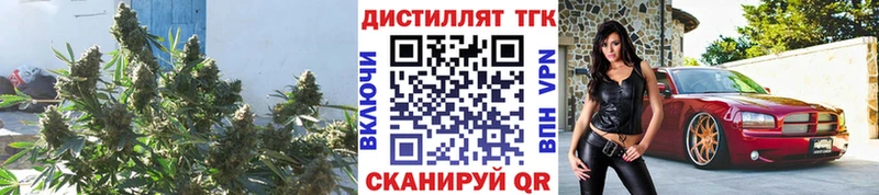 Дистиллят ТГК THC oil  blacksprut   Карабулак 