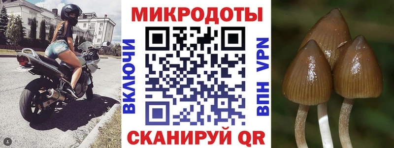 Галлюциногенные грибы прущие грибы  Карабулак 
